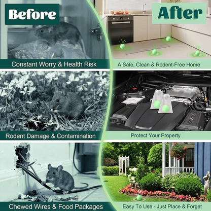 Keep Rats Out — Without Poison, Traps or Mess