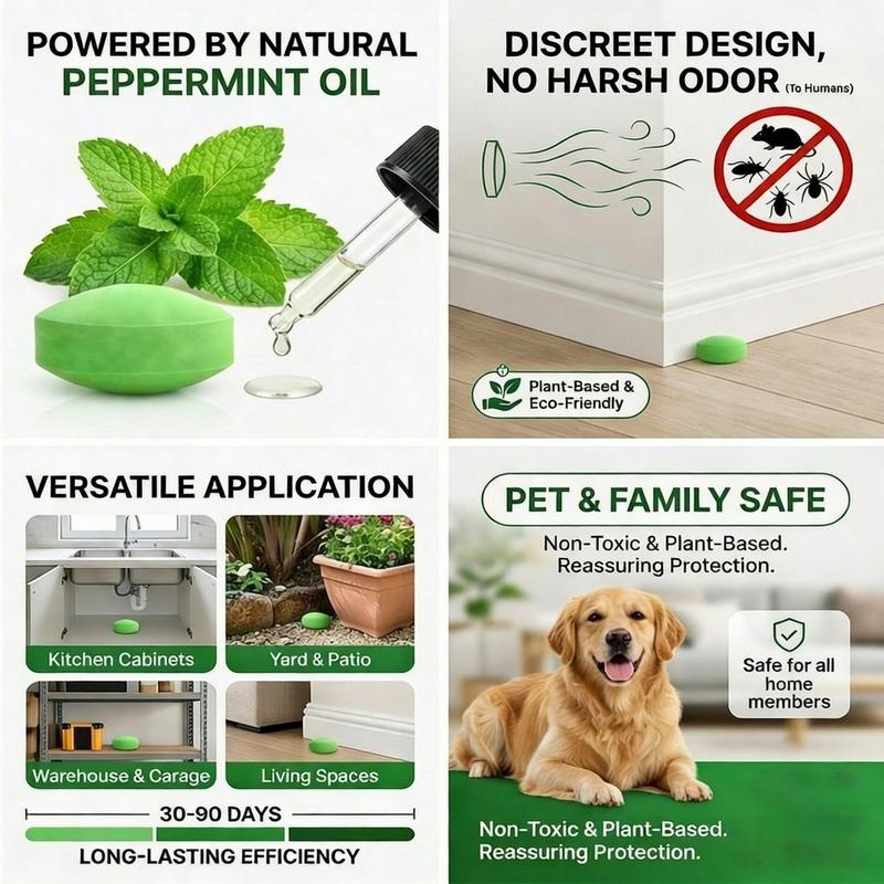 Keep Rats Out — Without Poison, Traps or Mess