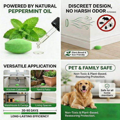 Keep Rats Out — Without Poison, Traps or Mess